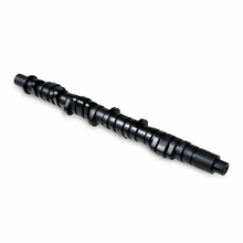 Load image into Gallery viewer, Skunk2 Tuner Stage 4 Camshaft - D Series VTEC