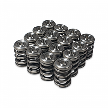 Load image into Gallery viewer, Skunk2 Alpha Valve Spring &amp; Retainer Kit - H/F Series