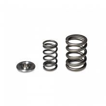 Load image into Gallery viewer, Skunk2 Alpha Valve Spring &amp; Retainer Kit - H/F Series