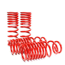 Load image into Gallery viewer, Skunk2 Lowering Springs - DC/DB Integra
