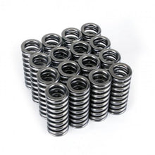 Load image into Gallery viewer, Skunk2 Alpha Valve Spring Set - D Series VTEC