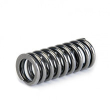 Load image into Gallery viewer, Skunk2 Alpha Valve Spring Set - D Series VTEC