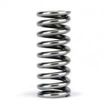 Load image into Gallery viewer, Skunk2 Alpha Valve Spring Set - D Series VTEC