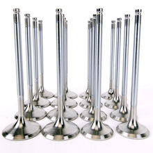 Load image into Gallery viewer, Skunk2 Alpha Series Valves - B Series