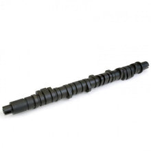 Load image into Gallery viewer, Skunk2 Tuner Stage 2 Camshaft - D Series VTEC