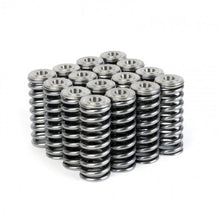 Load image into Gallery viewer, Skunk2 Alpha Valve Spring &amp; Retainer Kit - D Series