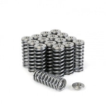 Load image into Gallery viewer, Skunk2 Alpha Valve Spring &amp; Retainer Kit - D Series