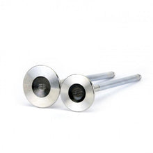 Load image into Gallery viewer, Skunk2 Alpha Valves - Standard Comp D-Series VTEC - 30mm/ 26mm