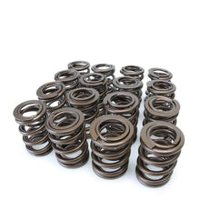 Load image into Gallery viewer, Skunk2 Pro XP Valve Springs - B Series