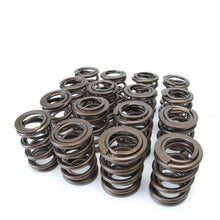 Load image into Gallery viewer, Skunk2 Alpha Valve Spring Set - B Series VTEC