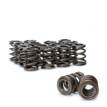 Load image into Gallery viewer, Skunk2 Alpha Valve Spring Set - H22/F20B