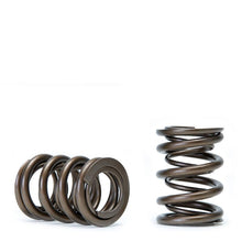 Load image into Gallery viewer, Skunk2 Pro XP Valve Springs - K Series