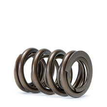 Load image into Gallery viewer, Skunk2 Pro XP Valve Springs - B Series