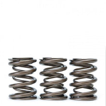 Load image into Gallery viewer, Skunk2 Alpha Valve Spring Set - B Series VTEC