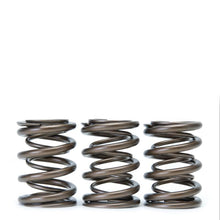 Load image into Gallery viewer, Skunk2 Pro XP Valve Springs - B Series