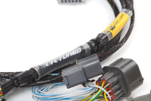 Load image into Gallery viewer, K-Tuned K-Swap Conversion Harness - EG/DC